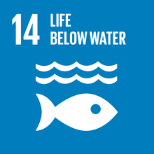 Port of Duqm SDG Goal 14 Life Below Water Port of Duqm SDG goal 14 Life below water